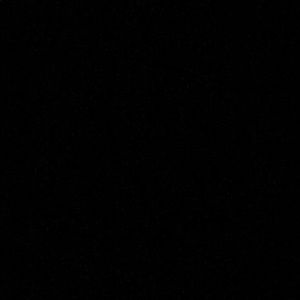 Meet your Posher, Chandler